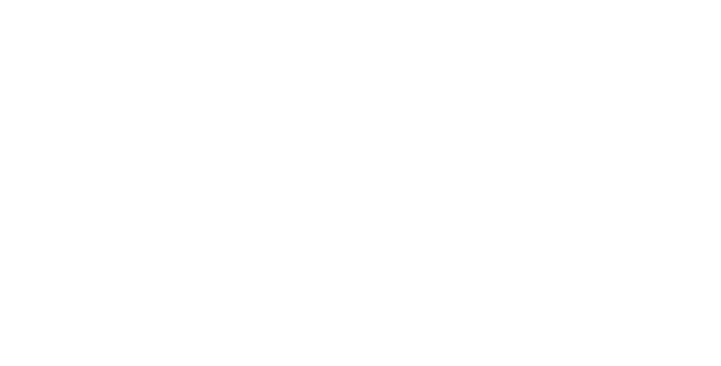 BdmBet